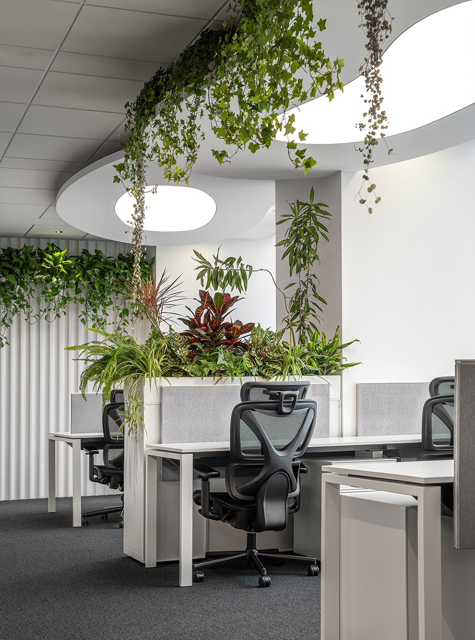 花園式辦公 元樸律師事務所裝修設計方案(圖7) 花園式辦公 元樸律師事務所裝修設計方案(圖7)