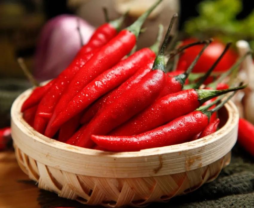 2021年鄭州餐飲裝修公司調(diào)查餐飲困境"N宗罪"(圖2) 鄭州餐飲店裝修