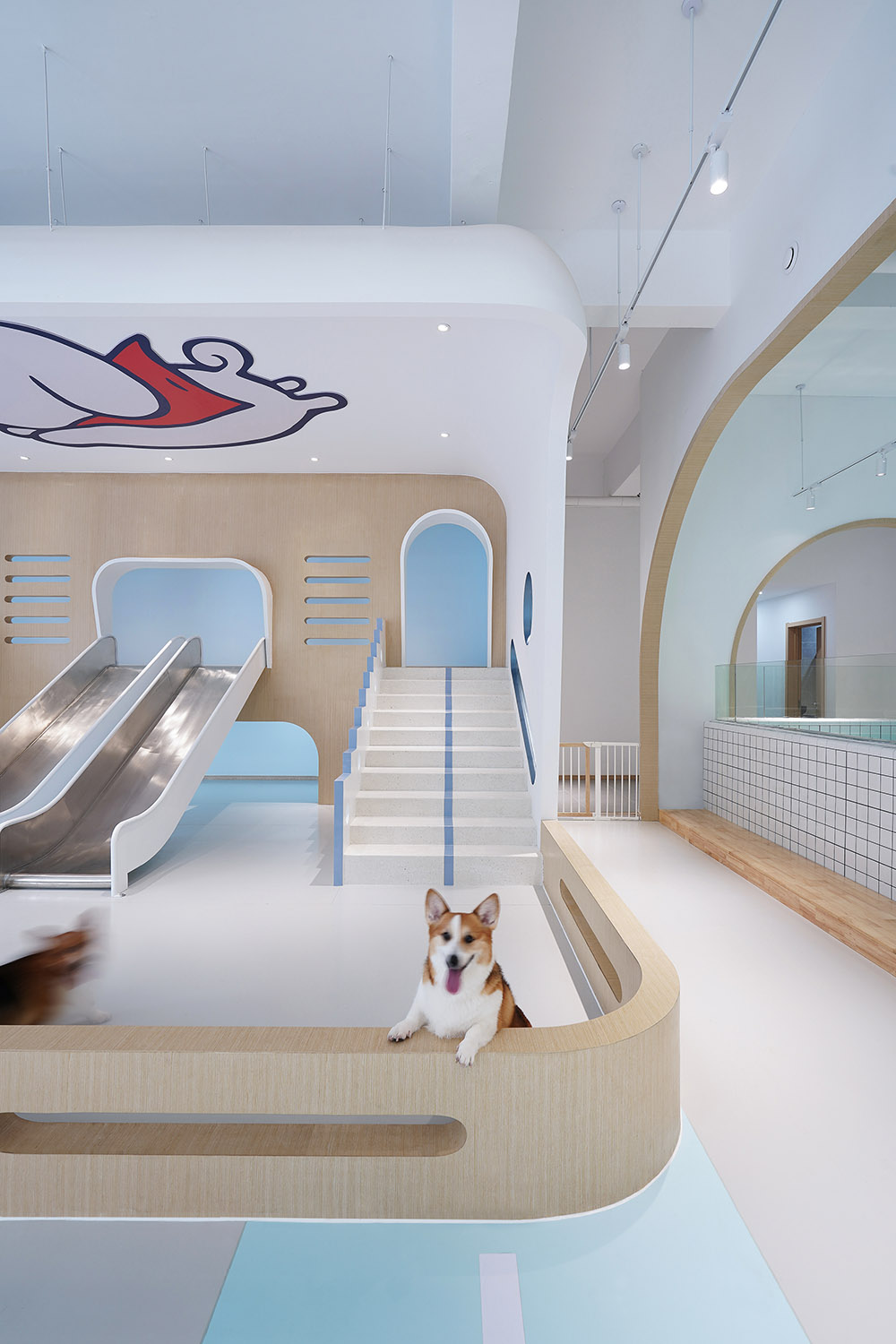 寵物店裝修公司—狗狗派萌寵中心設(shè)計案例分享(圖3)